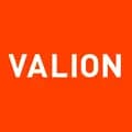 Ріелтори агентство нерухомості VALION